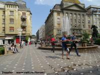 Imagine atasata: Timfloralis - 2015.05.20 - 05.jpg